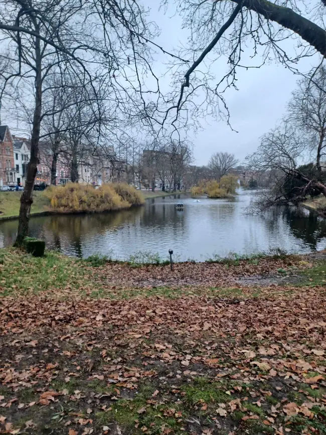 bruxelles3