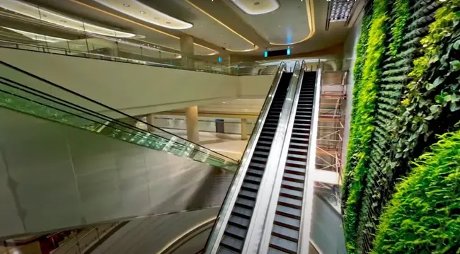 Zayed International