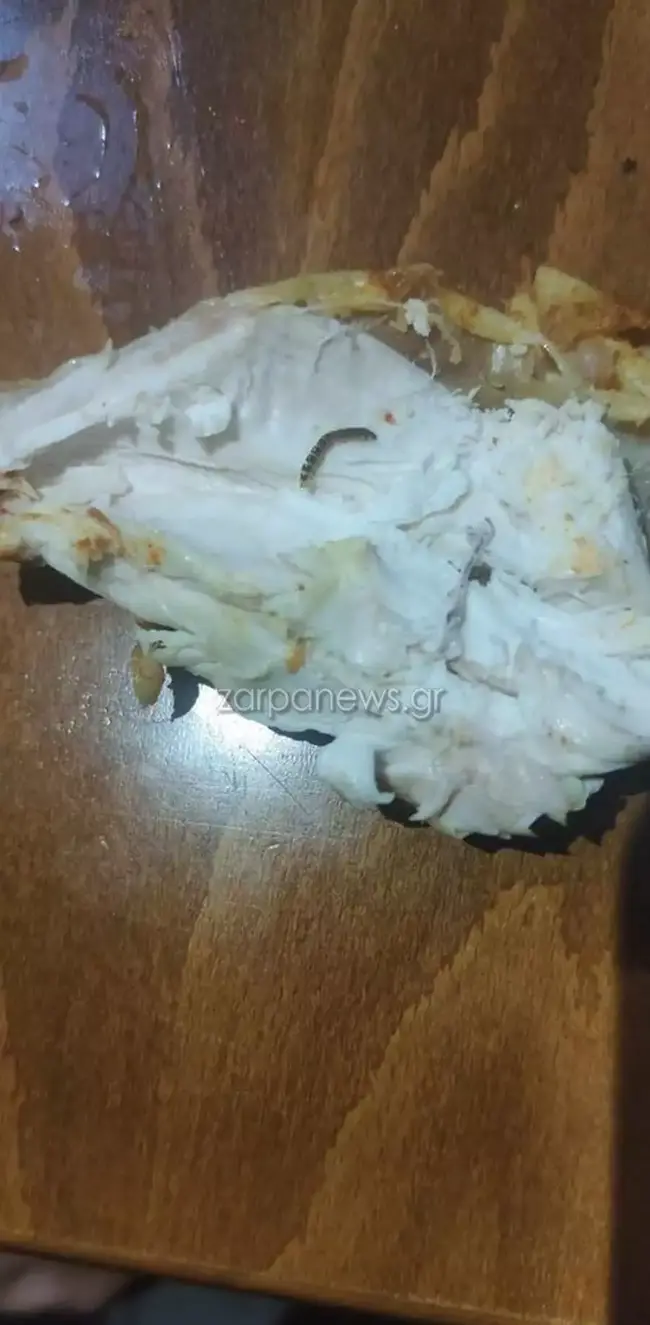 Σκουλήκια στα Χανιά