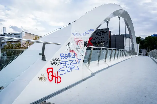 pezogefyra-graffitti
