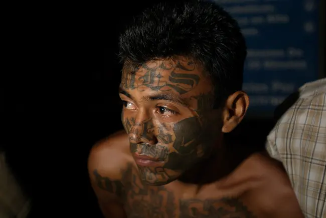 ms13