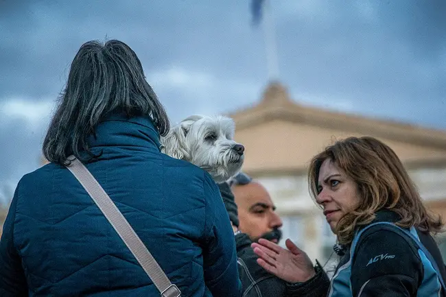 Συγκέντρωση διαμαρτυρίας για τον Όλιβερ