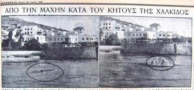 1955-3