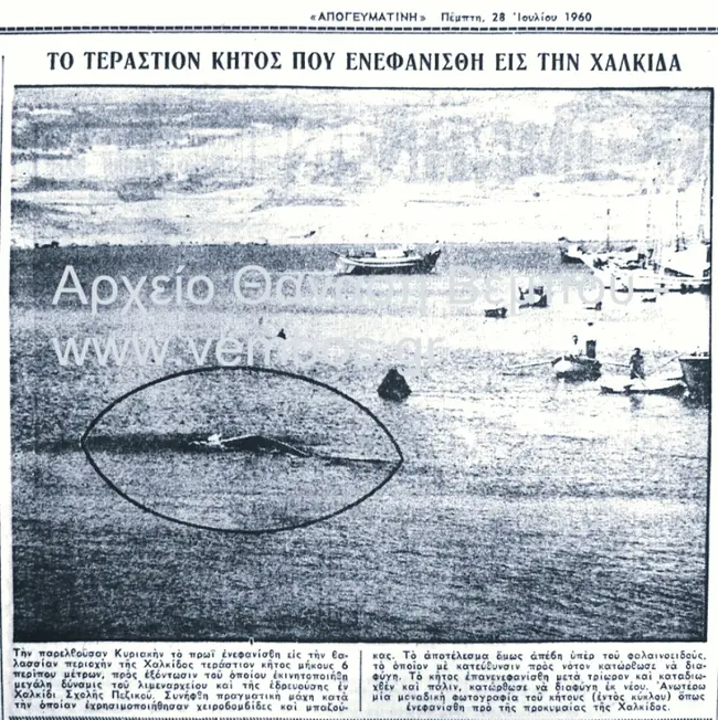 1960