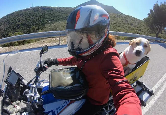 politimi-motosikletistria