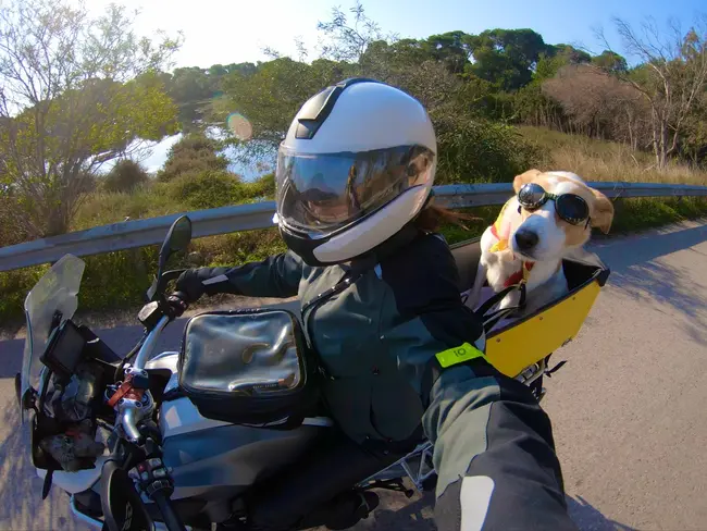 politimi-motosikletistria