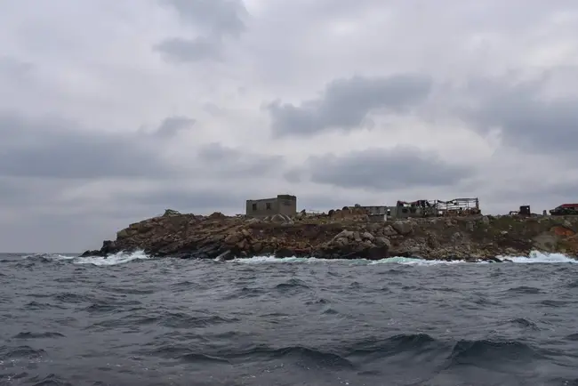 SNAKE ISLAND