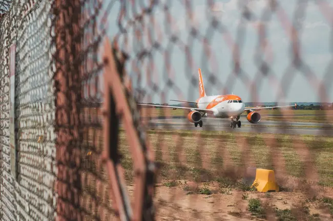 flight