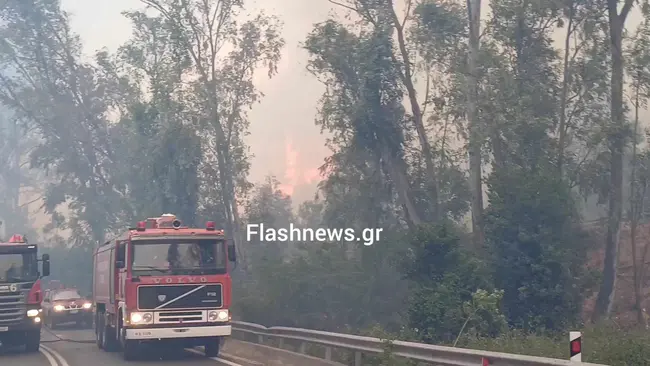 Φωτιά στα Χανιά