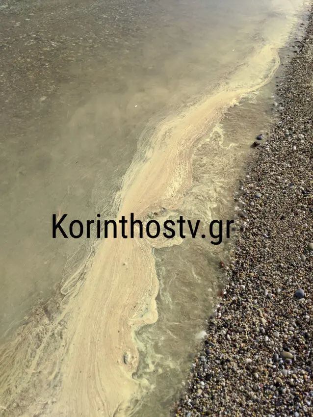 Κιτρίνισε η θάλασσα στην Κόρινθο