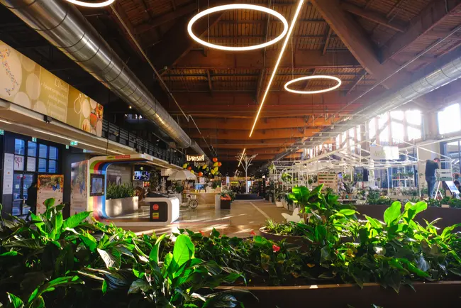 FICO Eataly World, Μπολόνια