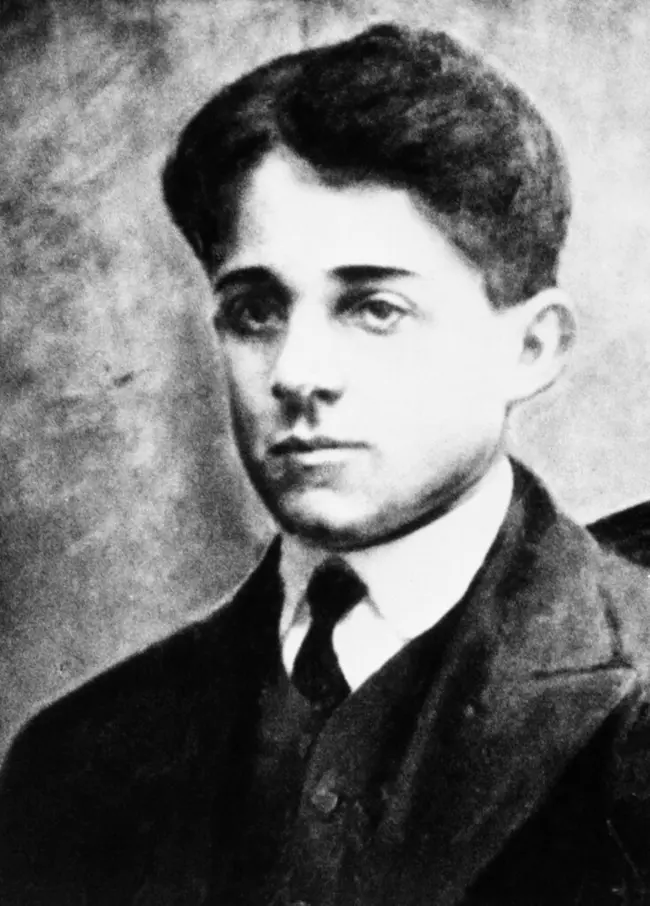 gavrilo princip