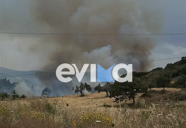 Φωτιά στην Εύβοια