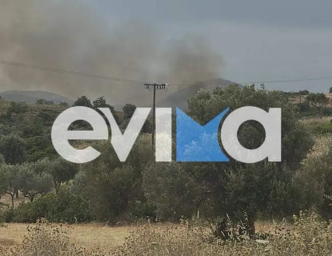 Φωτιά στην Εύβοια
