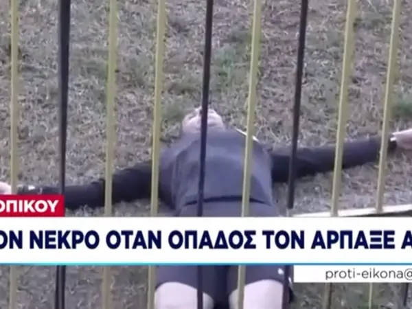 Επόπτης