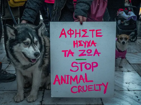Συγκέντρωση διαμαρτυρίας για τον Όλιβερ