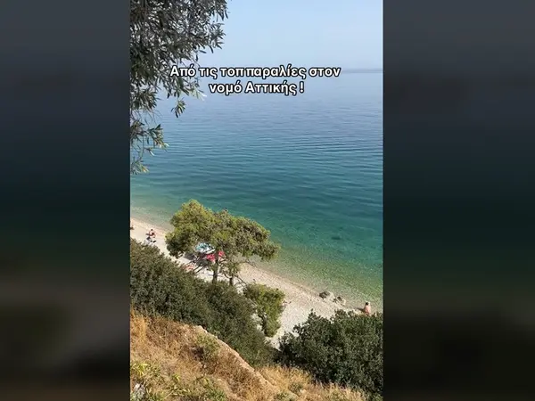 paralia tiktok