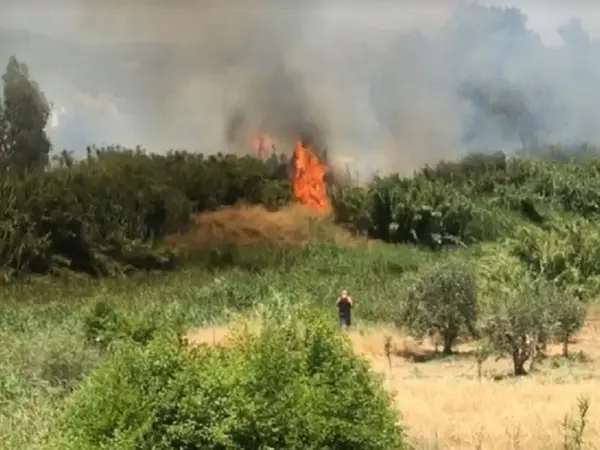 Φωτιά στη Σπάρτη