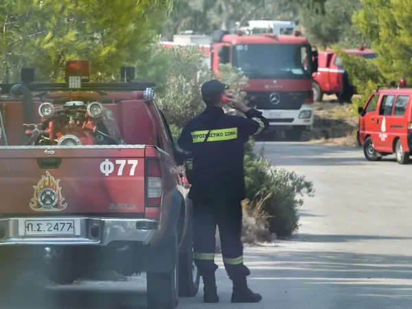 Πυροσβεστική σε δάσος