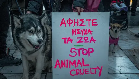 Συγκέντρωση διαμαρτυρίας για τον Όλιβερ