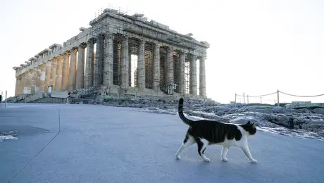 Η Ακρόπολη