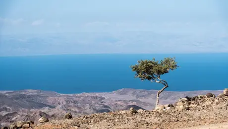 Η Άρτα στο Τζιμπουτί