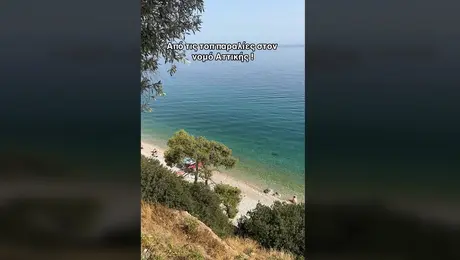 paralia tiktok