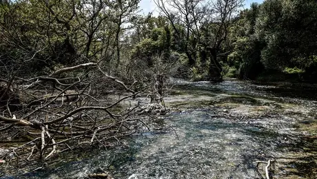 Λίμνη Ζηρού